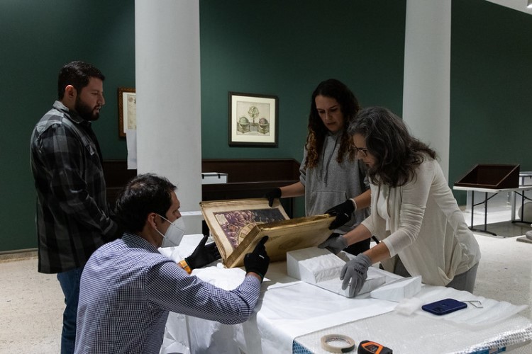 (Foto: Cortesía Cultura Guadalajara) 